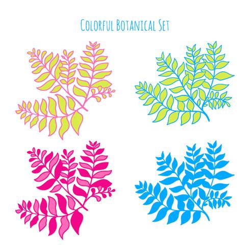 Vector hand drawn botanical elements