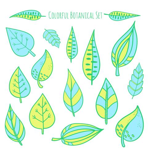 Vector hand drawn botanical elements