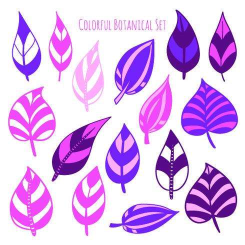 Vector hand drawn botanical elements