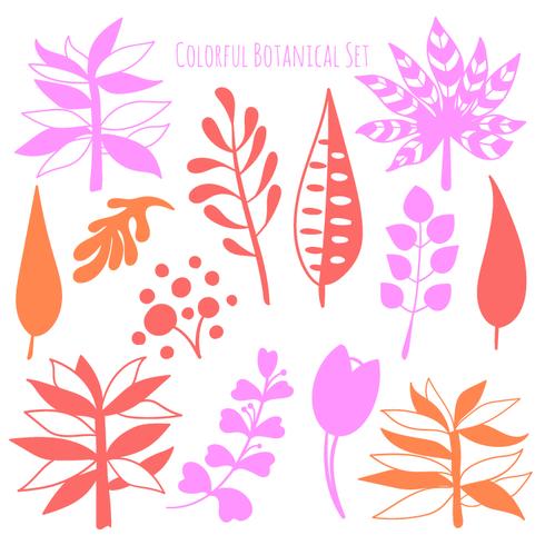 Vector hand drawn botanical elements