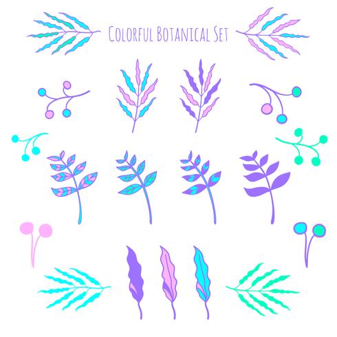 Vector hand drawn botanical elements