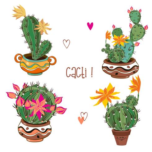 Set of flowering cacti in clay pots. Vector