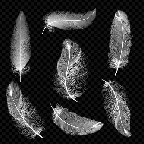 Realistic feathers. White bird falling feather isolated on white background vector collection. Illustration of feather bird, soft white plume