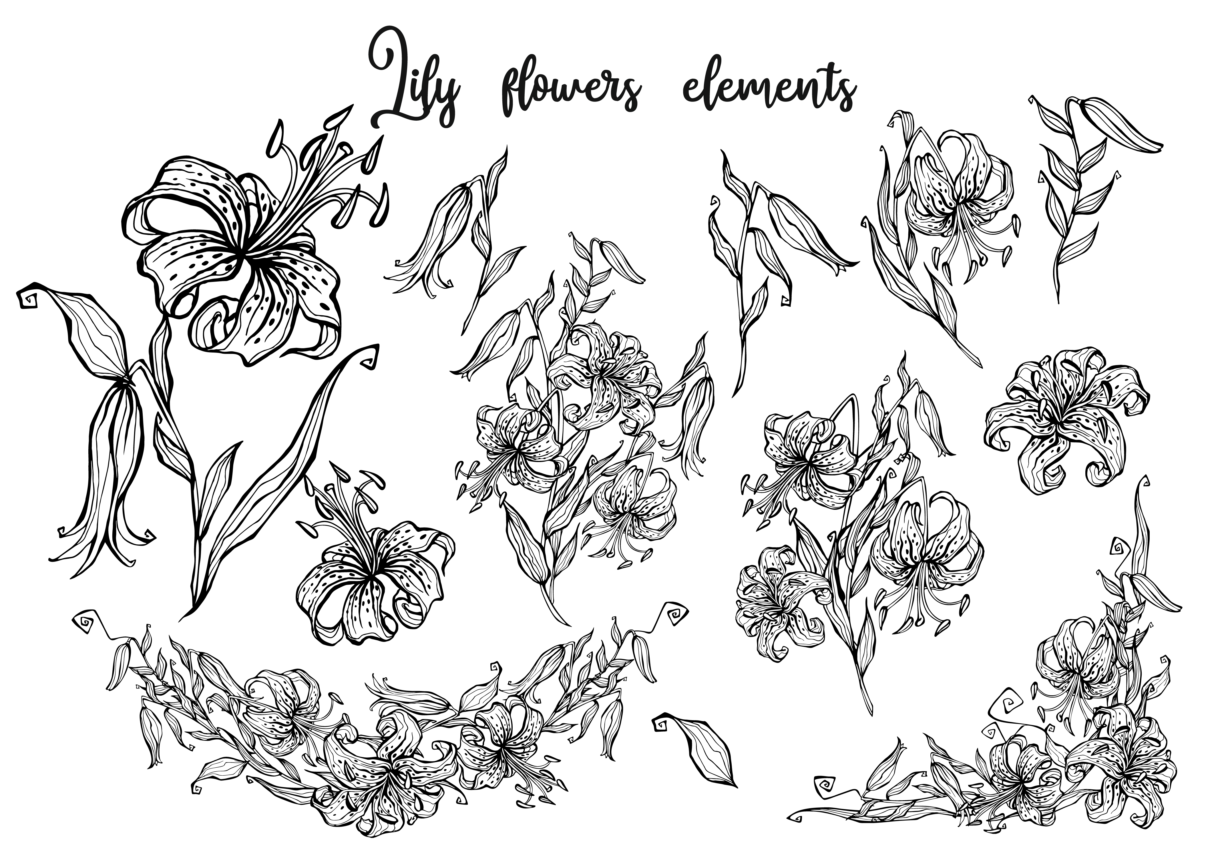 Tiger lily.Seamless pattern. Flower border. Vector ...
