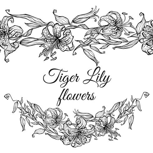 Tiger Lily patrón frontera y guirnalda de flores. Colorante vector