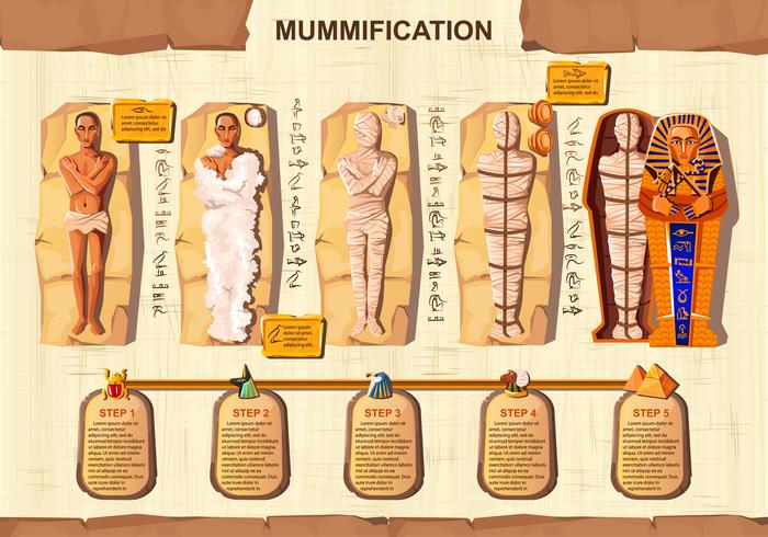 Creación de momia dibujos animados vector infografía