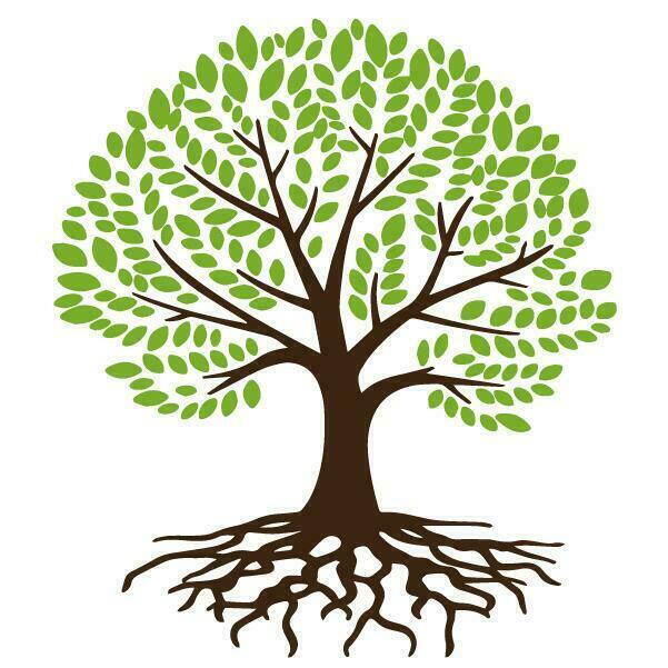 tree with roots vector