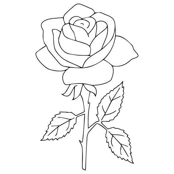 Black Rose Outline