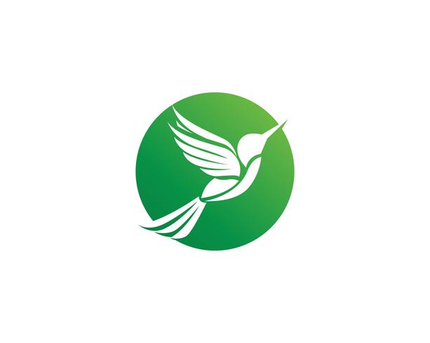 Vector de plantilla de logotipo y símbolos de icono de colibrí