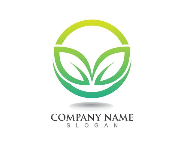 leaf green nature logo and symbol template Vector 