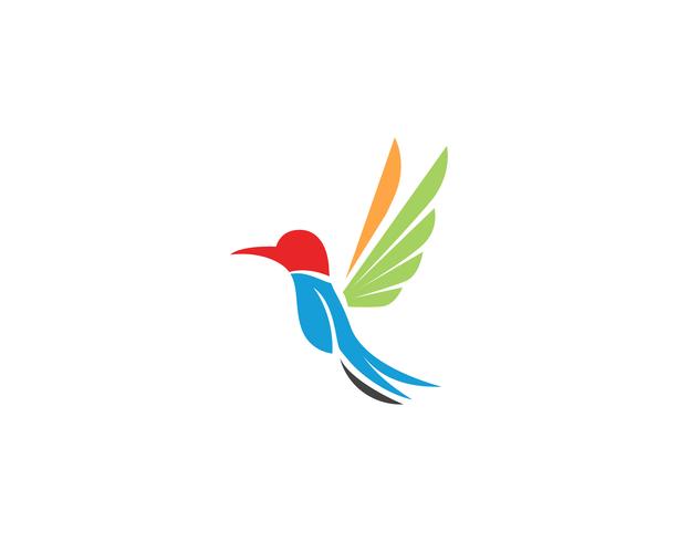 Vector de plantilla de logotipo y símbolos de icono de colibrí