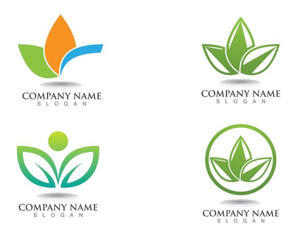 hoja verde naturaleza logotipo y símbolo plantilla vector