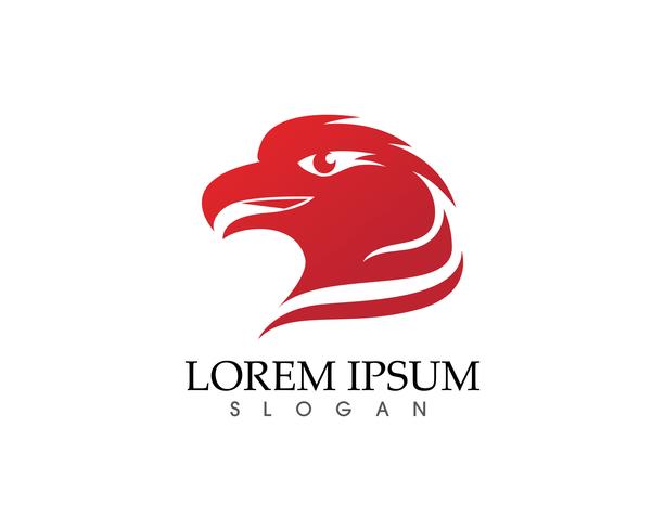 Plantilla de logotipo de Falcon Eagle Bird Logo iconos vectoriales vector