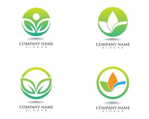 leaf green nature logo and symbol template Vector 