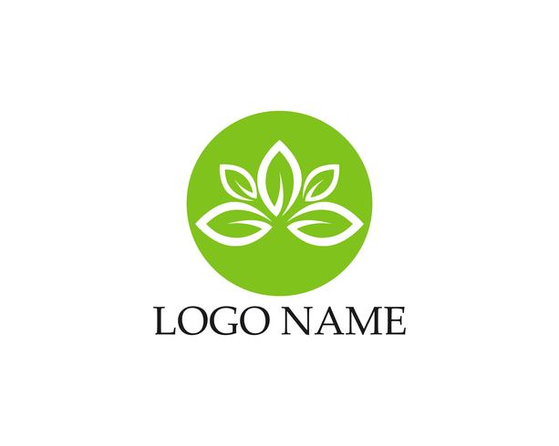 Logos de la hoja verde ecología naturaleza elemento vector icono