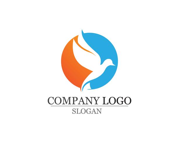 Wings bird sign abstract template icons  vector