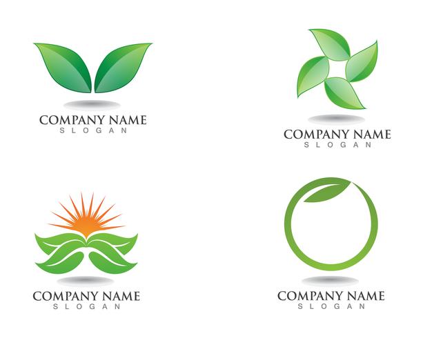 Logos de la hoja verde ecología naturaleza elemento vector icono