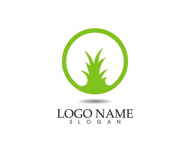 hoja verde naturaleza logotipo y símbolo plantilla vector