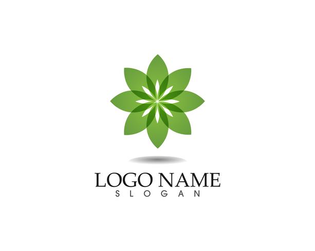 hoja verde naturaleza logotipo y símbolo plantilla vector