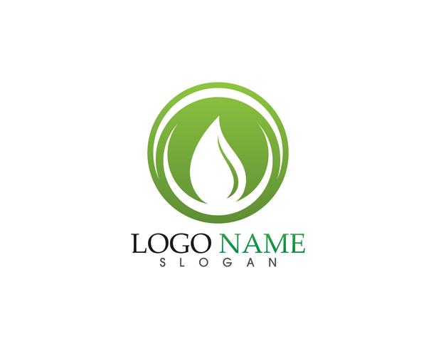 hoja verde naturaleza logotipo y símbolo plantilla vector