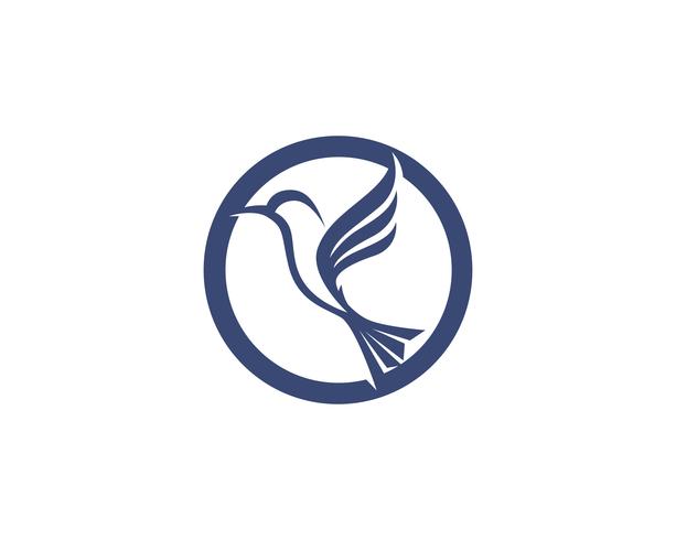 Vector de plantilla de logotipo y símbolos de icono de colibrí
