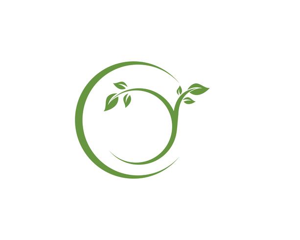 leaf green nature logo and symbol template Vector 