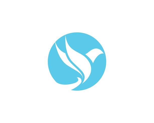 Wings bird sign abstract template icons app vector