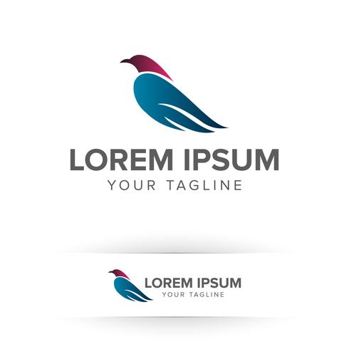 bird logo design concept template vector