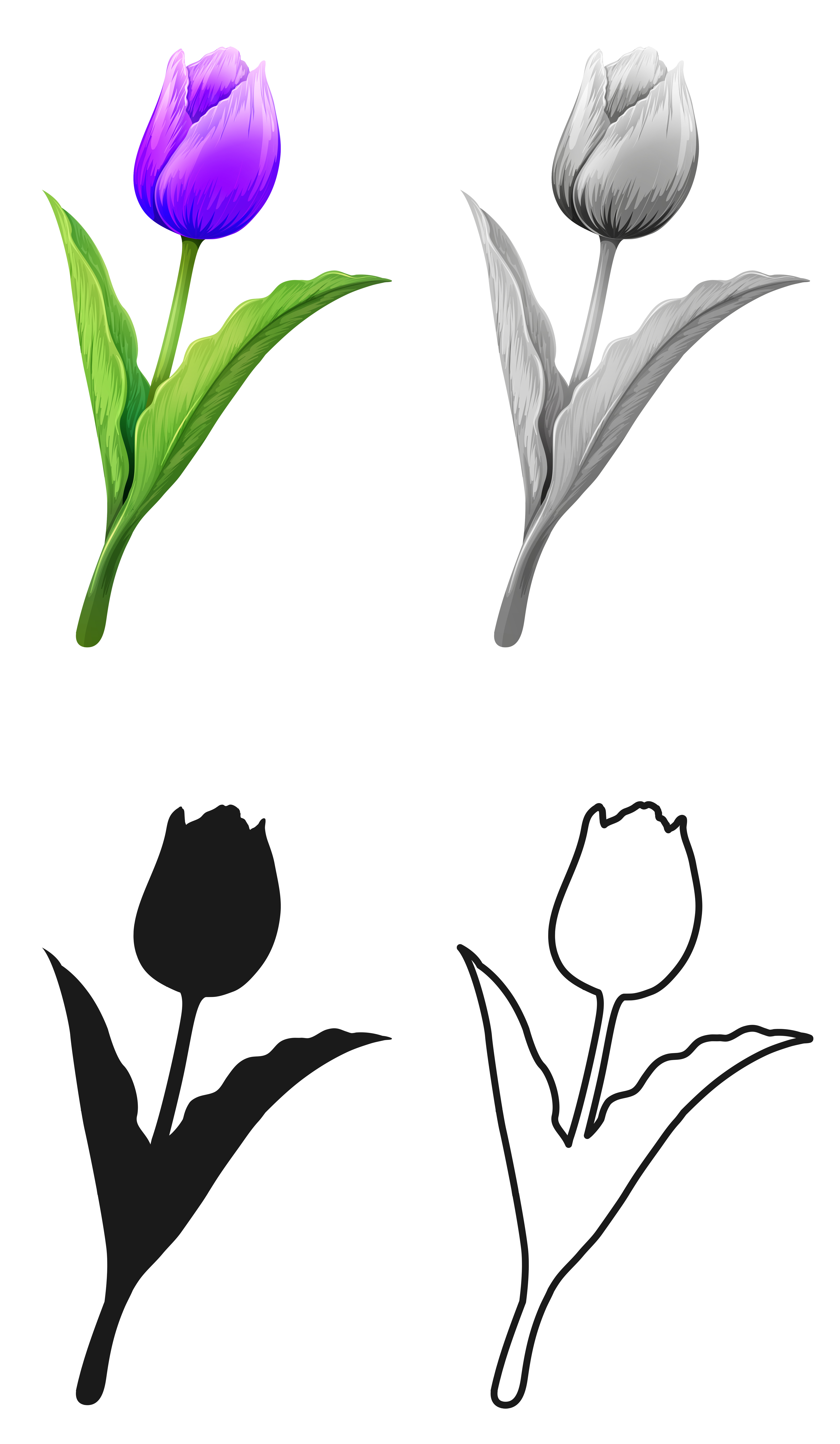 Set of tulip flower 605005 Vector Art at Vecteezy