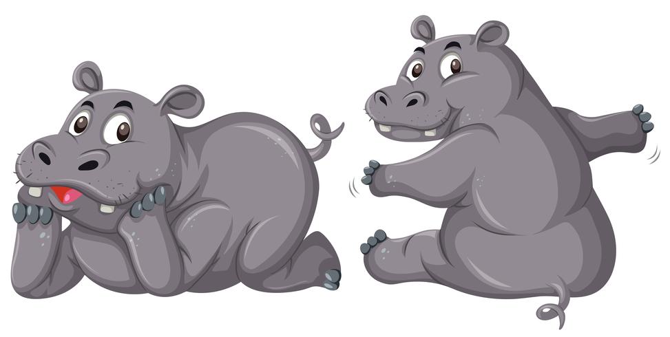 Two cute hippopotamus on white background vector