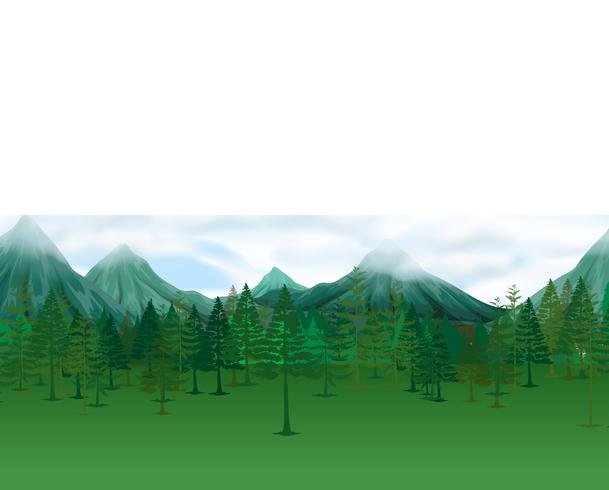 Escena de la naturaleza con pinos y montañas. vector