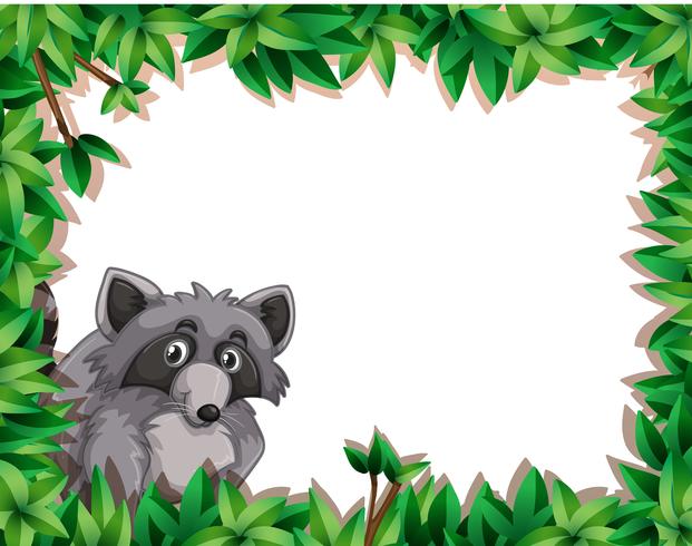 Raccoon on note template vector