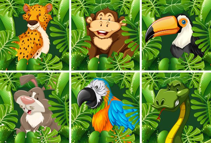 Wild animals in the forest vector