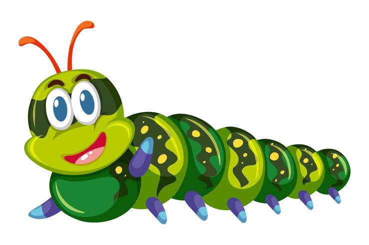Green caterpillar smiling on white background vector