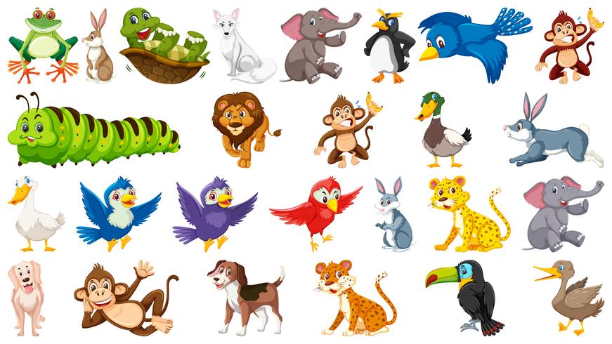 Set of cute animal vector