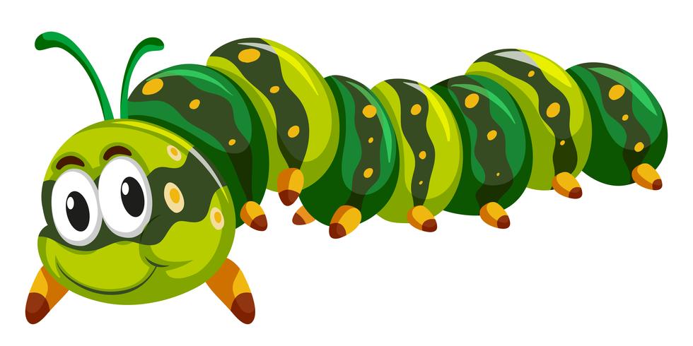 Green caterpillar crawling on white background 605235 Vector Art at Vecteezy