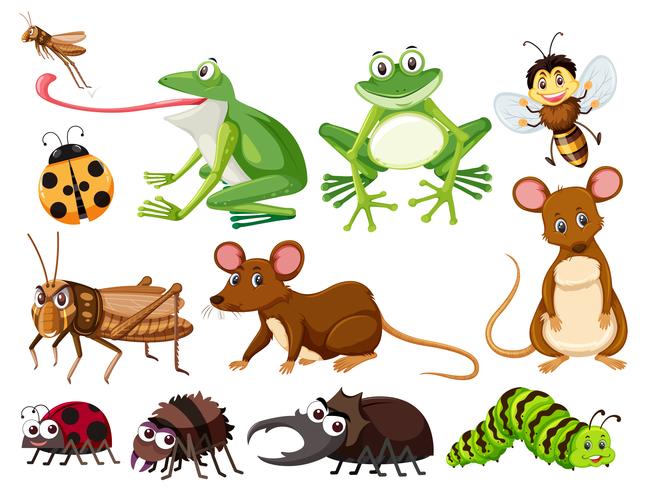 Conjunto de animales e insectos. vector