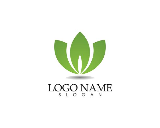 leaf green nature logo and symbol template Vector 