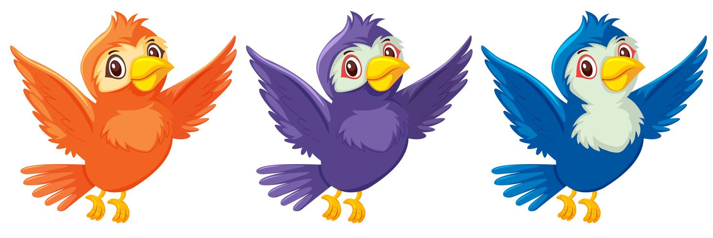 A set of cute bird on white background vector