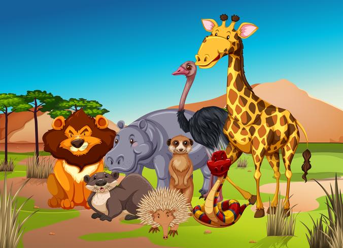Many animals in the grass field vector
