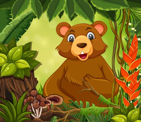 Un lindo oso en el bosque vector