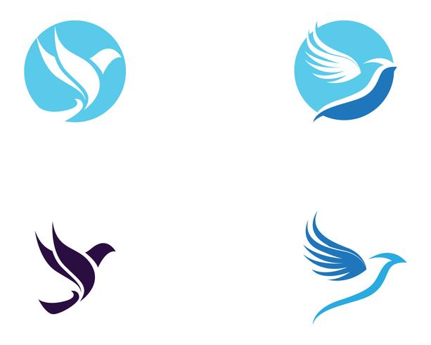 Wings bird sign plantilla abstracta iconos aplicación vector