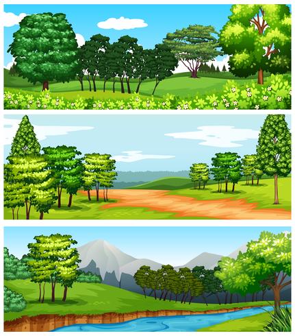 Tres escenas de bosque y campos. vector