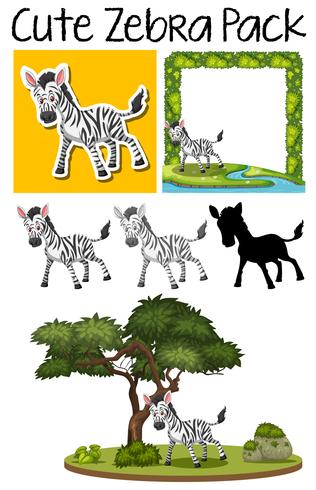 Pack of zebra pack vector