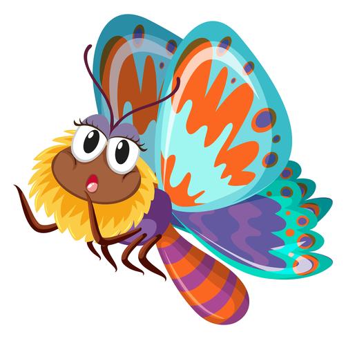 Colorful butterfly on white background vector