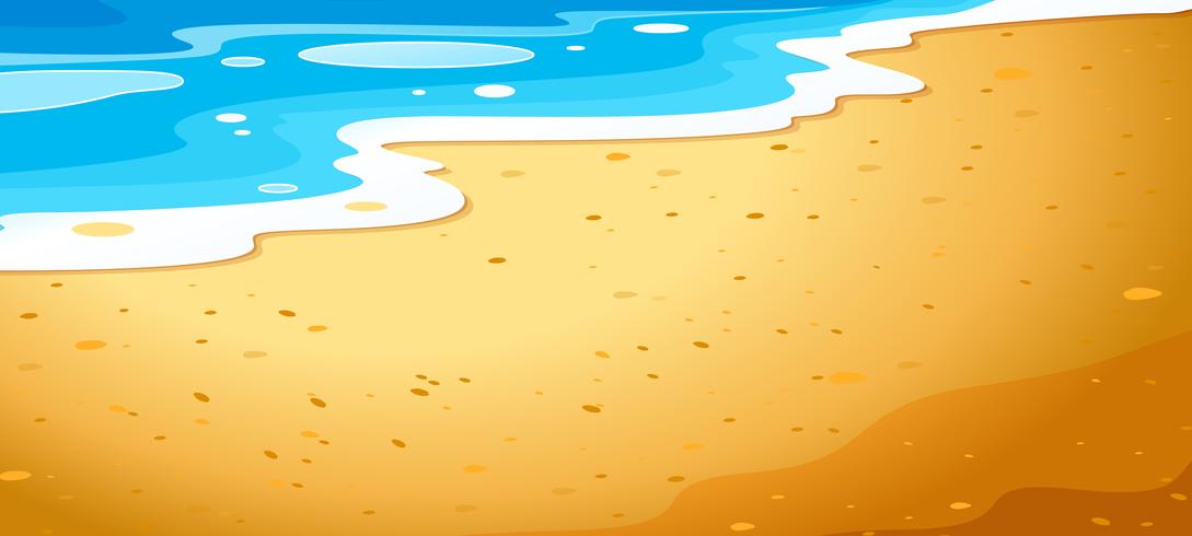 Un fondo de playa de cerca vector