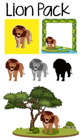 A pack of lion vector