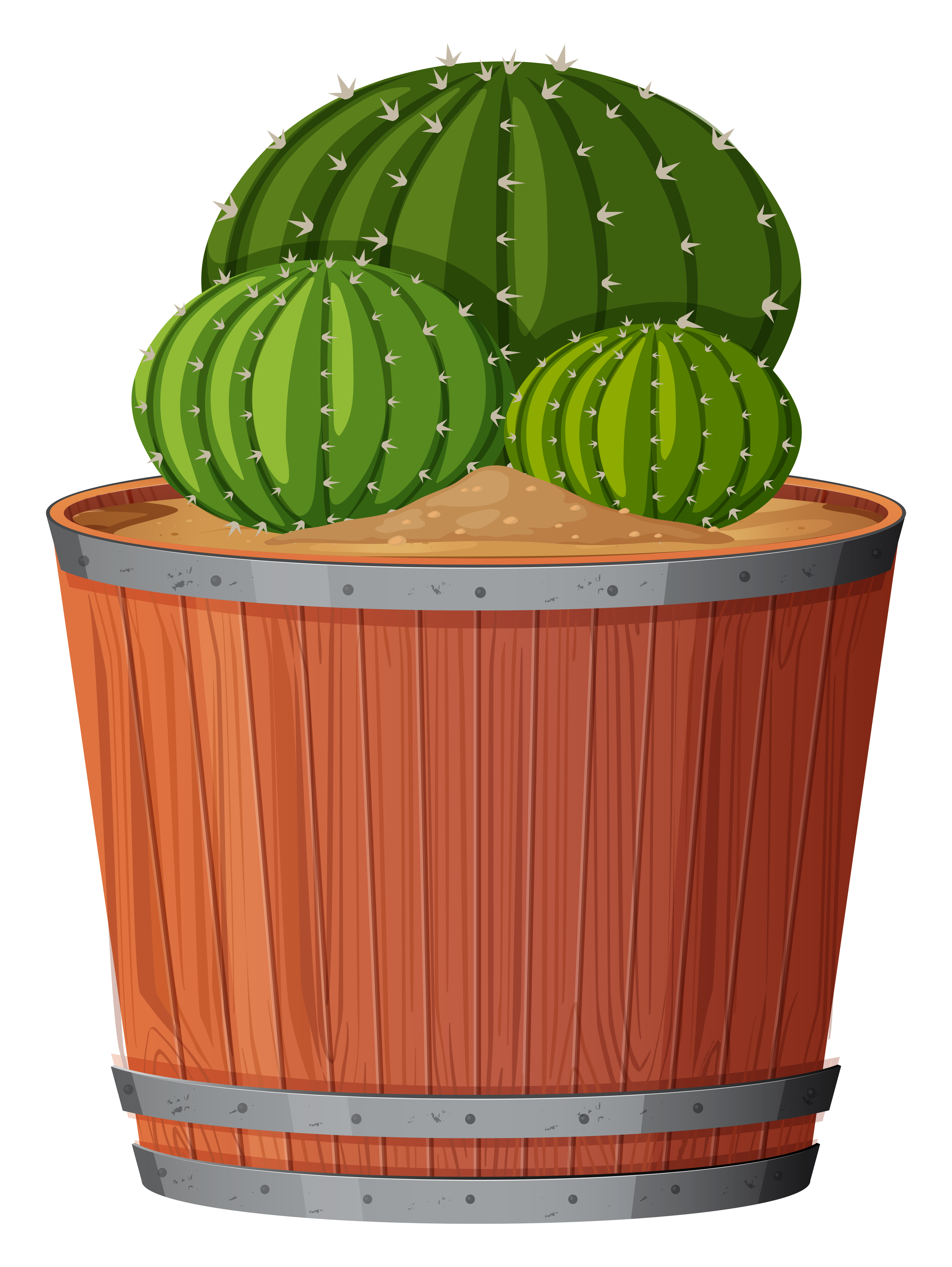 Cactus Plant In Pot 605520 Vector Art At Vecteezy