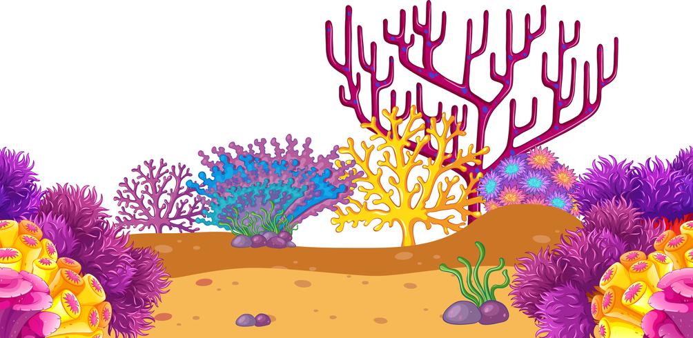 Un fondo de coral bajo el agua. vector