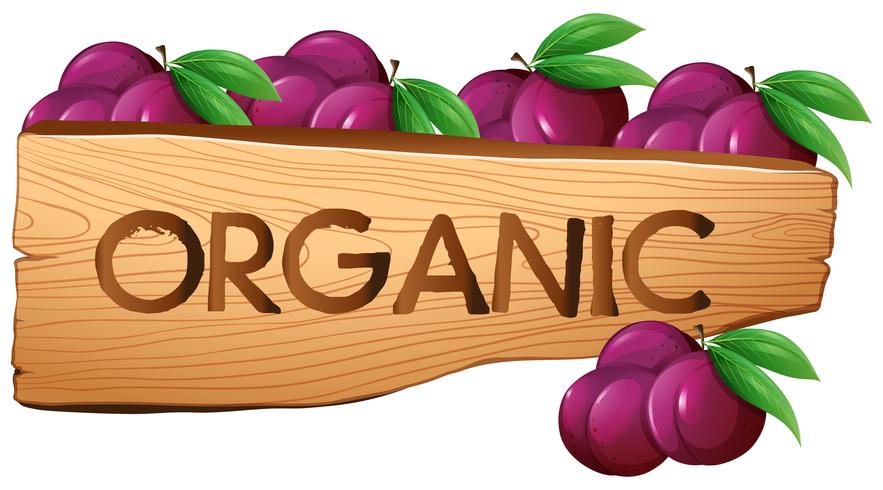 Organic sign with plums  vector